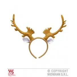 Coarne ren