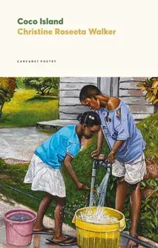Coco Island, Paperback/Christine Roseeta Walker
