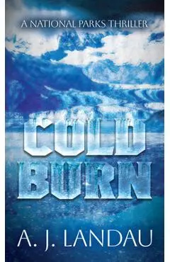 Cold Burn - A. J. Landau