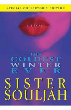 Coldest Winter Ever - Sister Souljah