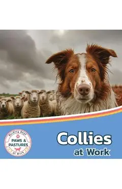 Collies at Work - Sabrina Lakes