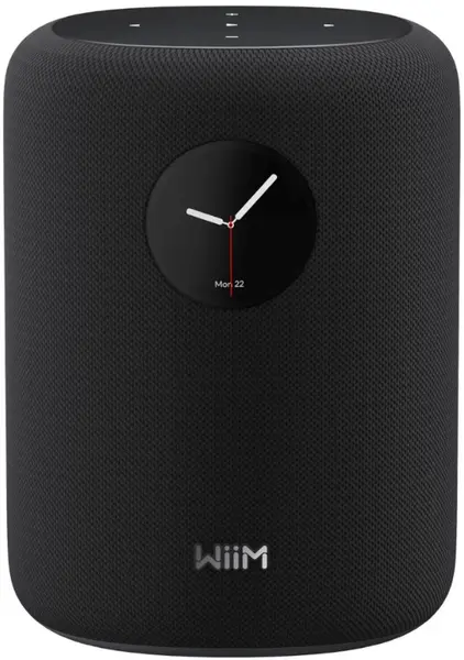 Coloană inteligentă WiiM - Sound, neagră