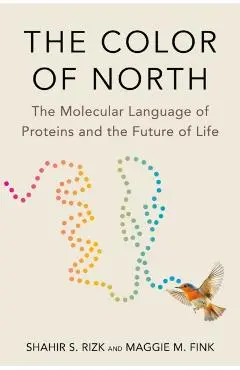 Color of North - Shahir S.|fink Rizk
