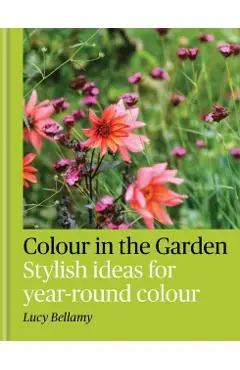 Colour in the Garden - Lucy Bellamy