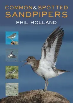 Common and Spotted Sandpipers, Paperback/Phil Holland