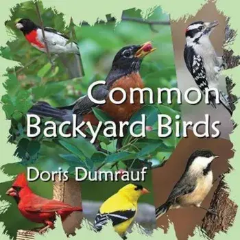 Common Backyard Birds, Paperback/Doris Dumrauf
