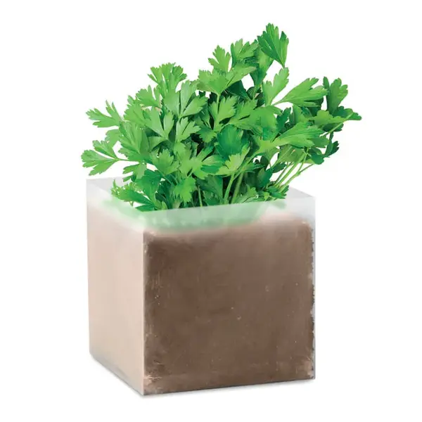 Compost cu seminte PARSLEY Compost cu seminte `PARSLEY`