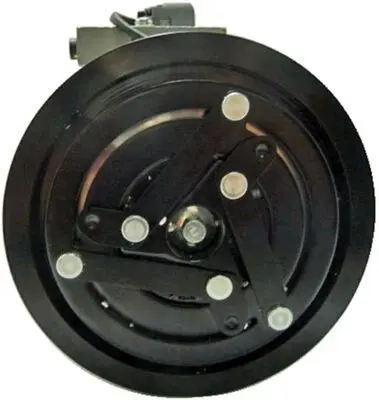 Compresor, climatizare MAHLE BEHR ACP 678 000S