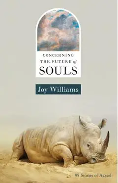 Concerning the Future of Souls - Joy Williams