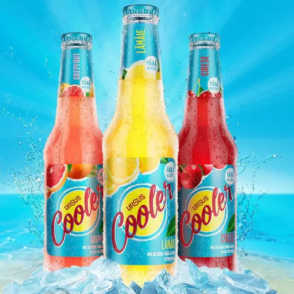 COOLER 0.33 LĂMÂIE/GRAFF - Default Title