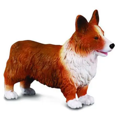 Corgi - Collecta