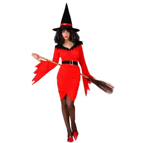 Costum 2 in 1 vrajitoare dracusor