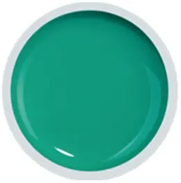 Cover color gel fsm 058