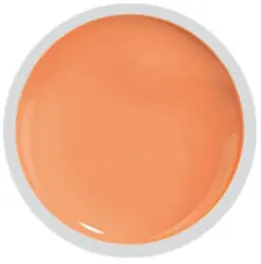 Cover color gel fsm 069