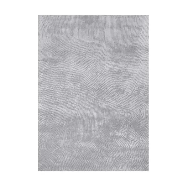 Covor CANYON SILVER - 200x300cm