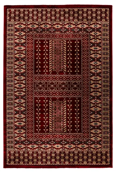 Covor My Ariana V2 Rosu 80x150 cm