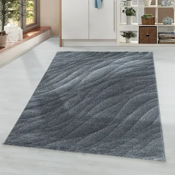 Covor Ottawa Gri V3 80x150 cm