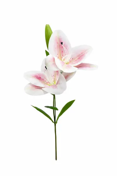 Crin artificial alb cu accente discrete roz, 2 flori si boboc pe fir unic 63 cm