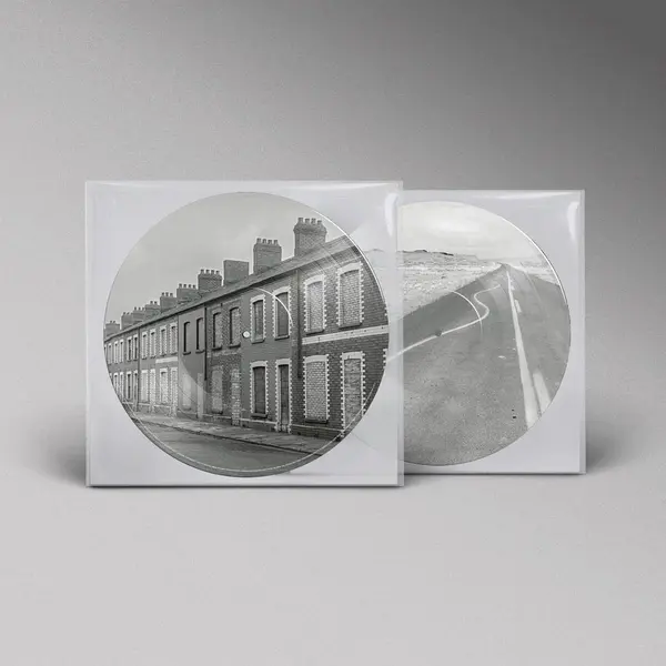 Critical Thinking (Picture Disc Vinyl) | Manic Street Preachers