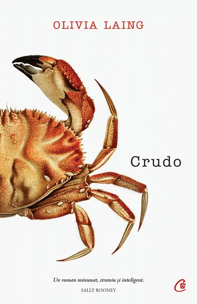 Crudo | Olivia Laing