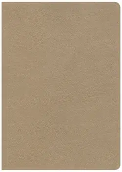 CSB She Reads Truth Bible, Champagne Gold Leathertouch, Hardcover/Csb Bibles by Holman