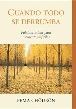 Cuando Todo Se Derrumba (When Things Fall Apart): Palabras Sabias Para Momentos Dificiles, Paperback/Pema Chodron