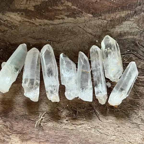 Cuart lemurian mini L