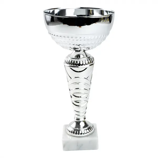Cupa MS 153 - King64