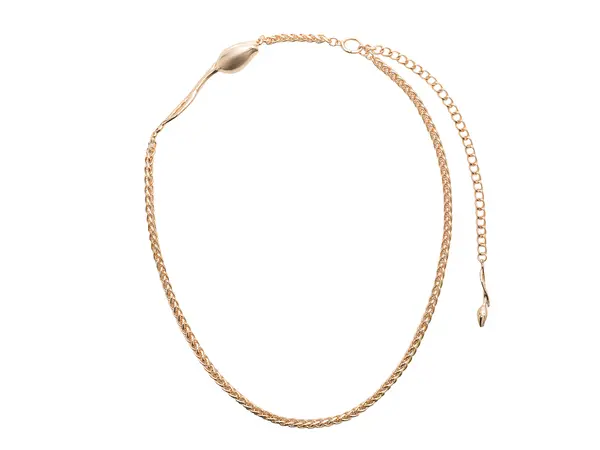 Curea ALDO aurie, SAHARAGLO 710, din metal