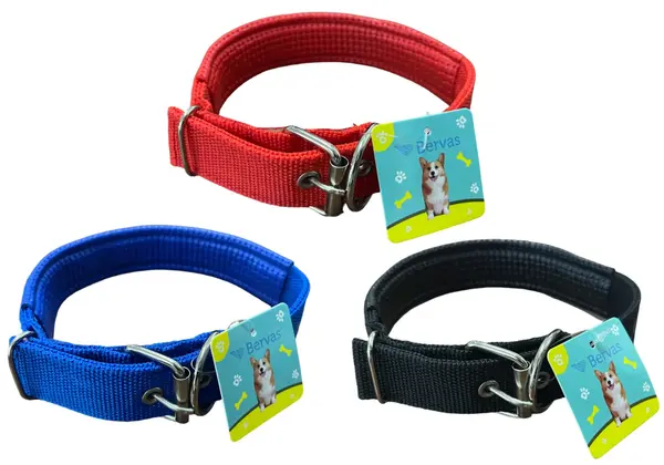 Curea Caine Mare cu Protectie Color 3x60cm