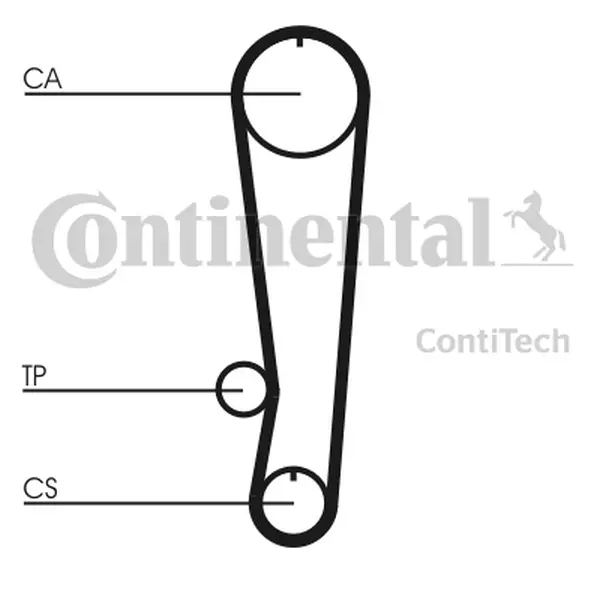 Curea de distributie CONTINENTAL CTAM CT808