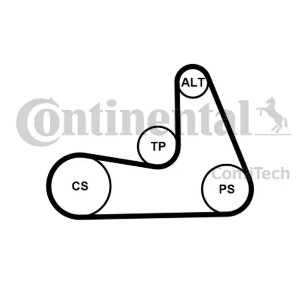 Curea transmisie cu caneluri CONTINENTAL CTAM 5PK1121 EXTRA