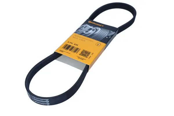 Curea transmisie cu caneluri CONTINENTAL CTAM 5PK836