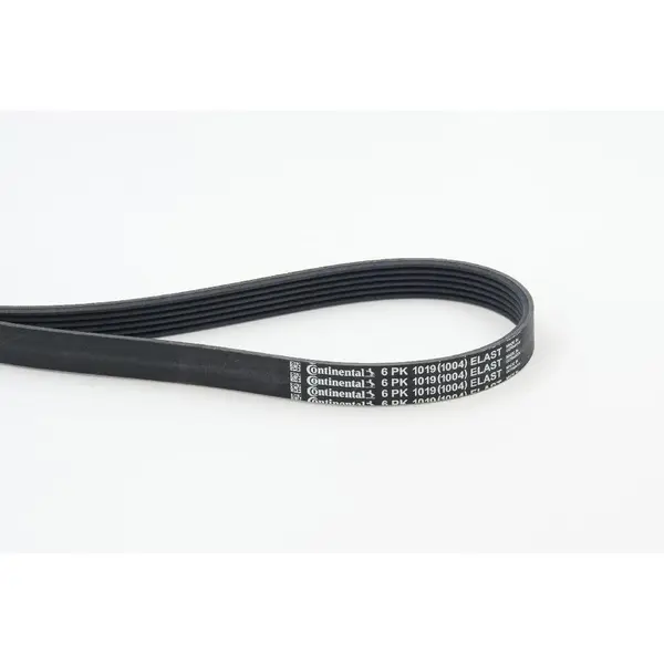 Curea transmisie cu caneluri CONTINENTAL CTAM 6PK1019 ELAST
