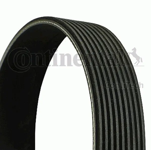 Curea transmisie cu caneluri CONTINENTAL CTAM 9PK2835