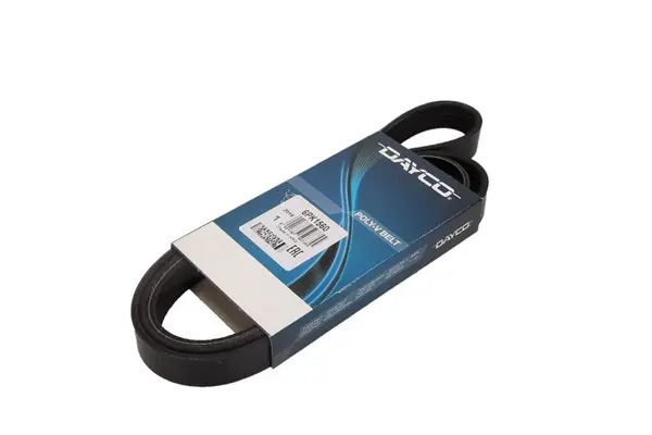 Curea transmisie cu caneluri DAYCO 6PK1560