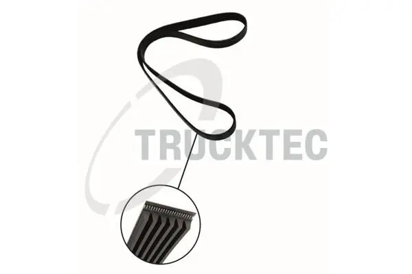 Curea transmisie cu caneluri TRUCKTEC 01.19.207