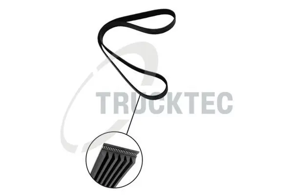 Curea transmisie cu caneluri TRUCKTEC 02.19.333