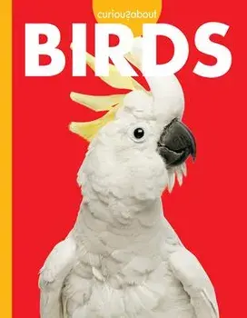 Curious about Birds, Library Binding/Jill Sherman