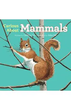 Curious about Mammals - Cathryn Sill
