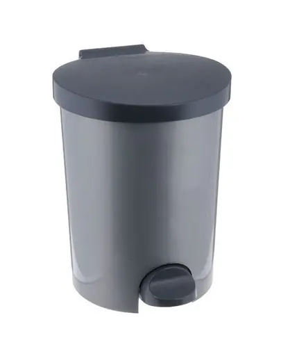 CURVER Cos gunoi cu pedala 15 L gri-argintiu