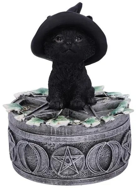 Cutie de depozitare Nemesis Now Adult: Gothic - Ivy Familiar Box, 15 cm