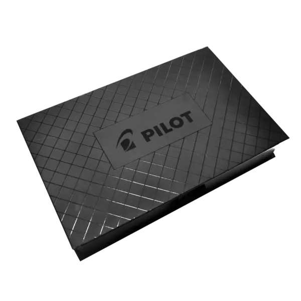 Cutie de lux Pilot pentru un etui si un instrument de scris Cutie de lux Pilot pentru un etui si un instrument de scris