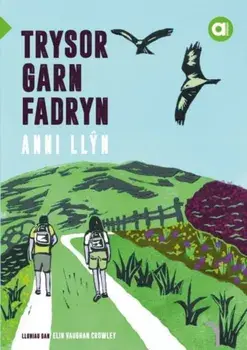 Cyfres Amdani: Trysor Garn Fadryn, Paperback/Anni Llyn