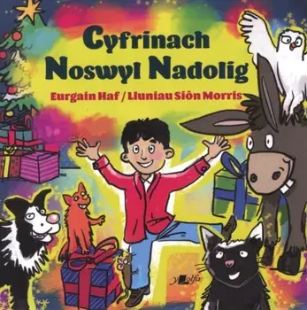 Cyfrinach Noswyl Nadolig, Paperback/Eurgain Haf