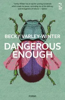 Dangerous Enough, Paperback/Ms Becky Varley-Winter