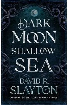 Dark Moon, Shallow Sea - David R. Slayton