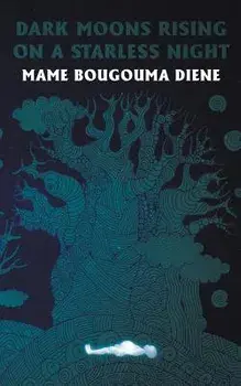 Dark Moons Rising on a Starless Night, Paperback/Mame Bougouma Diene