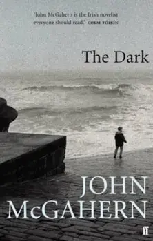 Dark, Paperback/J Mcgahern