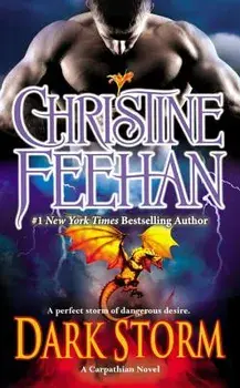 Dark Storm/Christine Feehan